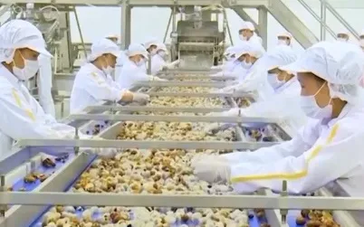 Doanh nhân khẳng định vai trò dẫn dắt trong nền kinh tế