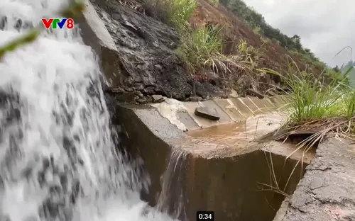 Quảng Ngãi cảnh báo lũ trên các sông và ngập lụt vùng thấp trũng