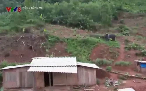 Nỗi lo sạt lở đất của người dân vùng cao Bắc Miền Trung