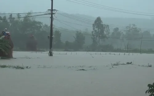 Quảng Ngãi cảnh báo lũ trên sông và ngập lụt vùng trũng thấp