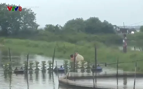 Thừa Thiên Huế chủ động nuôi trồng thuỷ sản ứng phó thời tiết