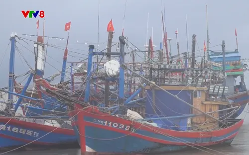 Quảng Ngãi kêu gọi tàu thuyền vào nơi neo đậu tránh trú