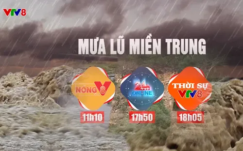 Trách nhiệm và tình người trong mưa lũ