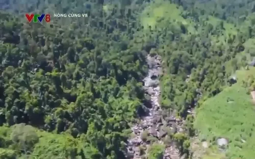 Gian nan bảo vệ vùng rừng giáp ranh