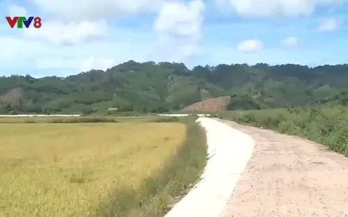 Đắk Nông: Những con đường từ sức dân