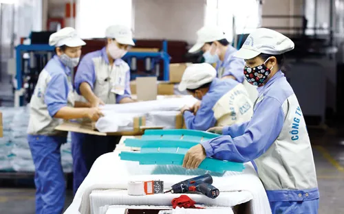 Doanh nghiệp xuất khẩu quay về chinh phục “sân nhà”