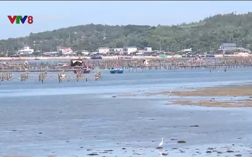 Khắc phục ô nhiễm đầm nước mặn Sa Huỳnh