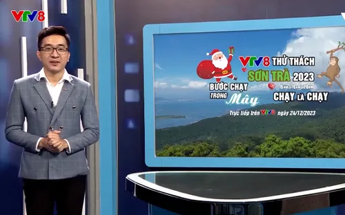 VTV8 cùng bạn: Giải chạy "Thử thách Sơn Trà 2023"