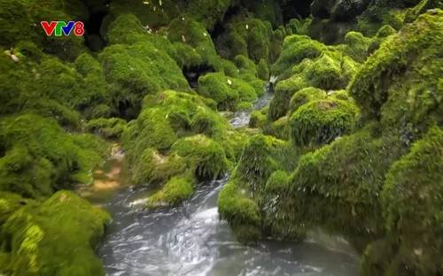 Cùng VTV8 theo dõi các thông tin thú vị trong bộ 3 chương trình hấp dẫn