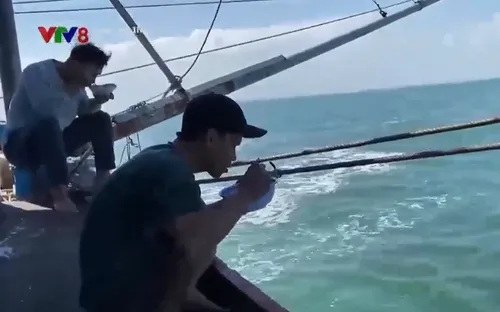 Gian nan nghề câu mực ngoài khơi