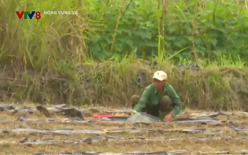 Chưa thể thoát nghèo vì thiếu đất sản xuất