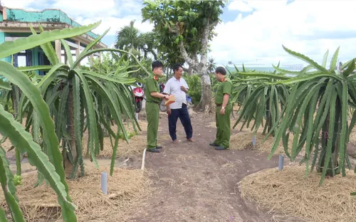 Tiền Giang: Cảnh báo thực trạng trộm cắp tài sản ở vùng nông thôn