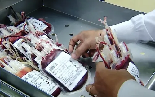 Thiếu máu cấp cứu và điều trị tại ĐBSCL