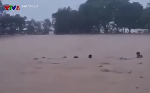 Mưa lớn làm vỡ đập ở Hà Tĩnh, hàng chục hecta hoa màu bị cuốn trôi