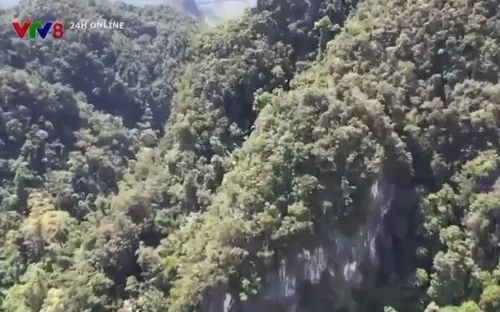 Gian nan nghề lấy mật ong rừng