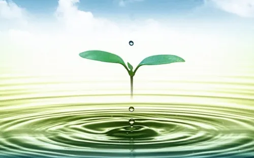 Cho phép đàm phán Hiệp định tài trợ Dự án cải thiện môi trường nước Bình Dương