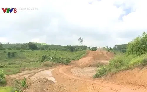 Đẩy mạnh giải phóng mặt bằng dự án cao tốc Khánh Hòa - Buôn Ma Thuột