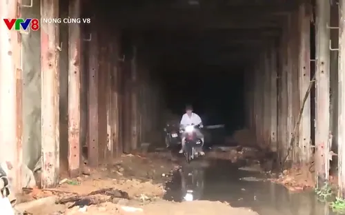 Hệ lụy từ mỏ vàng Bồng Miêu, tỉnh Quảng Nam