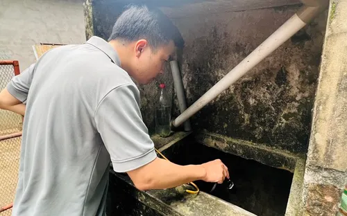 Hà Nội: Số ca mắc sốt xuất huyết tiếp tục giảm trong tuần