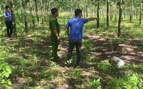 Mâu thuẫn trong vườn cao su, em đánh anh trai tử vong