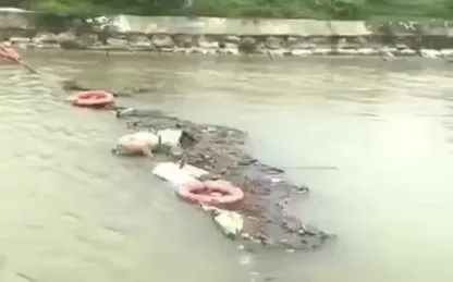 Dòng kênh lớn bị ô nhiễm nghiêm trọng do xác lợn bệnh