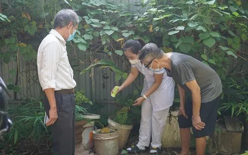 Bộ Y tế đề nghị Hà Nội giám sát chặt, phát hiện sớm ổ dịch sốt xuất huyết