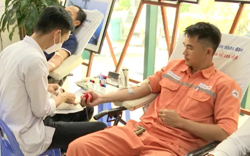 EVNCPC triển khai "Tuần lễ hồng EVN"