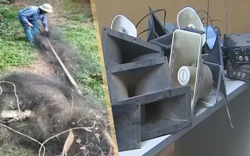 Lào Cai tăng cường biện pháp ngăn chặn vi phạm bẫy, bắt chim hoang dã