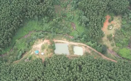 Quảng Bình: Dân lấn đất rừng chuyển đổi mục đích sử dụng