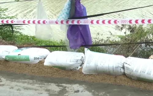 Phú Yên: Nhiều địa điểm bờ sông, bờ biển bị sạt lở nghiêm trọng