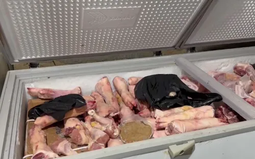Phát hiện kho hàng thực phẩm đông lạnh xuất nhập khẩu không có hóa đơn chứng từ