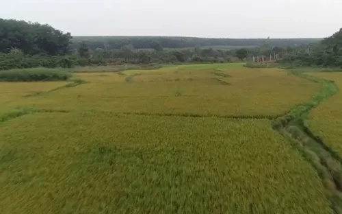 Những ngôi làng trù phú tại vùng biên giới Chư Prông, tỉnh Gia Lai