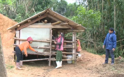 Phòng chống rét cho gia súc ở miền núi Thừa Thiên Huế