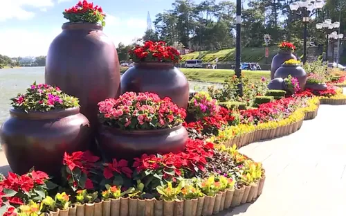 Đà Lạt rực rỡ sắc hoa chào đón năm mới 2024