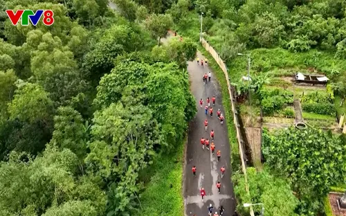 Nhìn lại giải chạy "VTV8 - Thử thách Sơn Trà"