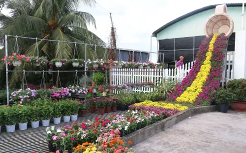 Khai mạc Festival Hoa - Kiểng Sa Đéc “Tình đất - Tình hoa”