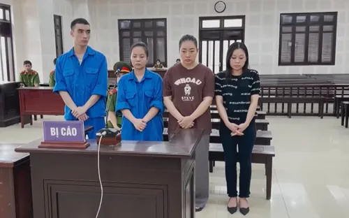 Xét xử nhóm đối tượng dùng CCCD giả để mở tài khoản ngân hàng