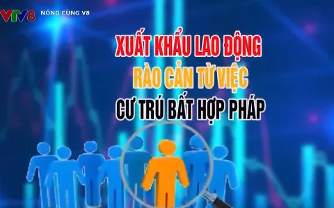 Xuất khẩu lao động - Rào cản từ việc cư trú bất hợp pháp