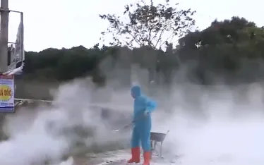 Dịch bệnh trên gia súc, gia cầm đang phức tạp