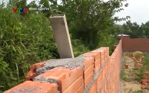 Xây dựng trái phép và trách nhiệm quản lý của chính quyền địa phương