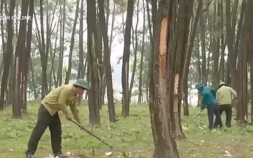 Quảng Bình: Tăng cường các giải pháp phòng chống cháy rừng