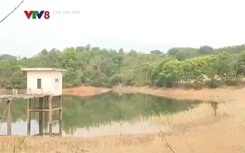 Đắk Nông: Nguy cơ thiếu nước ở nơi nhiều hồ đập