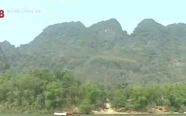 Đảm bảo an toàn giao thông cho các bến đò ngang sông