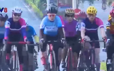 Các cuộc thi thể thao kỷ niệm Ngày thống nhất đất nước