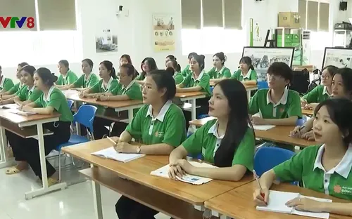 Hợp tác văn hóa giáo dục Việt Nam - Nhật Bản