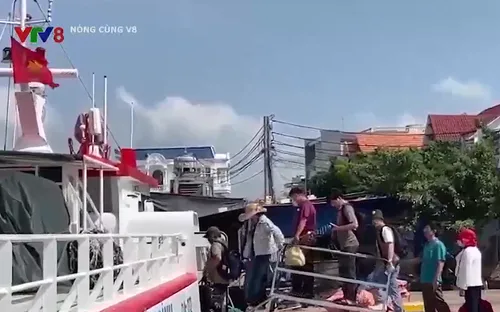 Tăng chuyến tàu thuyền ra vào đảo Lý Sơn dịp lễ