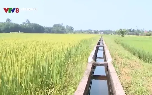 Thừa Thiên Huế: Hiệu quả từ các công trình thủy lợi