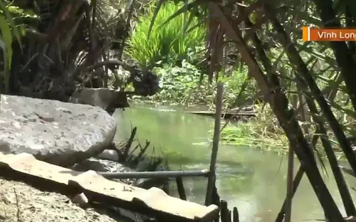 Hàng trăm hộ dân phải sử dụng nước kênh rạch ô nhiễm