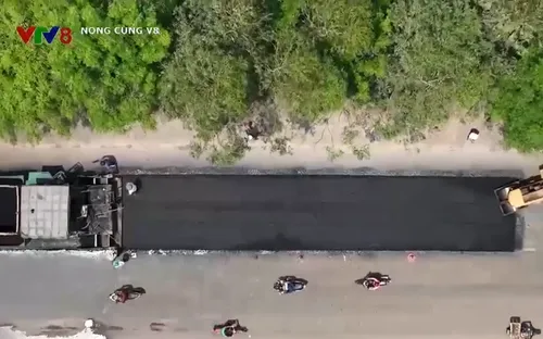 Gấp rút sửa chữa Quốc lộ 1 qua tỉnh Bình Định