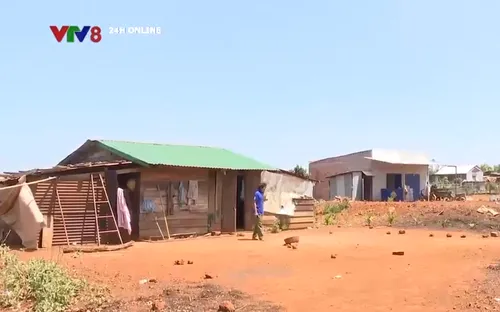 Hệ lụy từ di cư tự do